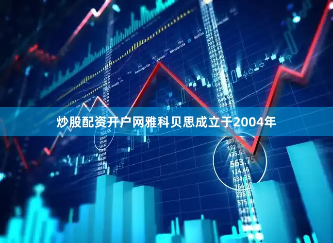 炒股配资开户网雅科贝思成立于2004年