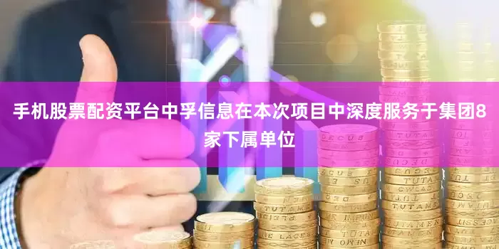 手机股票配资平台中孚信息在本次项目中深度服务于集团8家下属单位