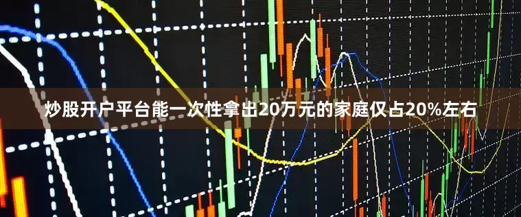 炒股开户平台能一次性拿出20万元的家庭仅占20%左右